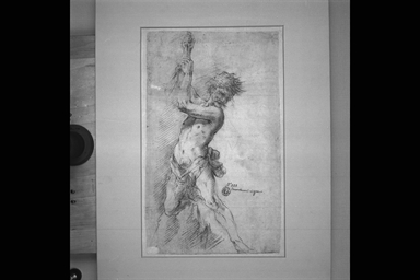 studio per una figura maschile