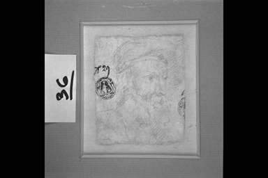 testa d'uomo con barba