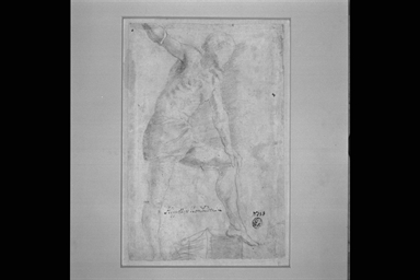 studio per figura virile