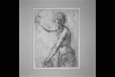 studio per Davide con la testa di Golia
