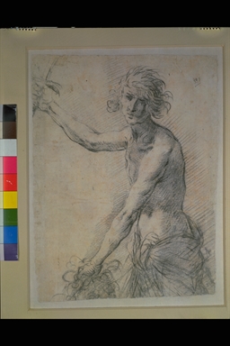 studio per Davide con la testa di Golia