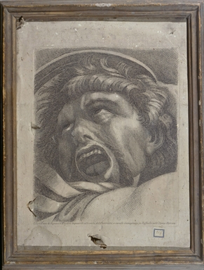 testa d'uomo