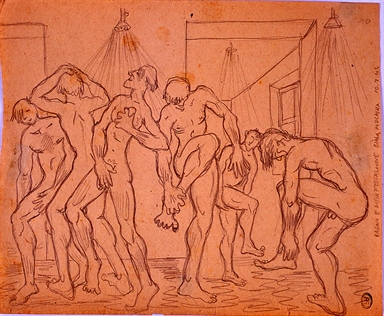 Bagno e disinfestazione