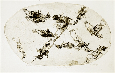 uccelli
