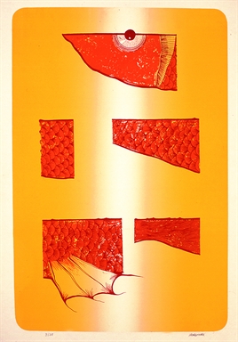 Pesce sezionato