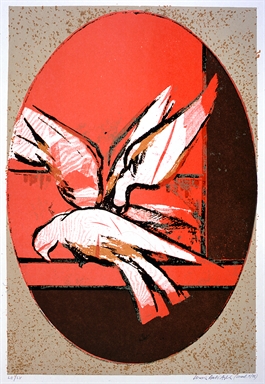 colombe