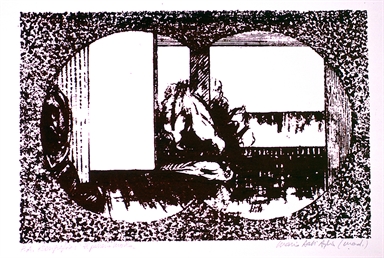 uccelli