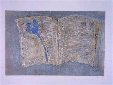 libro aperto