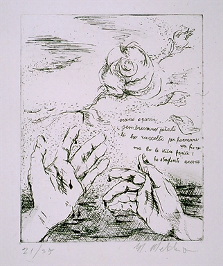 mani; rosa; petali; iscrizione