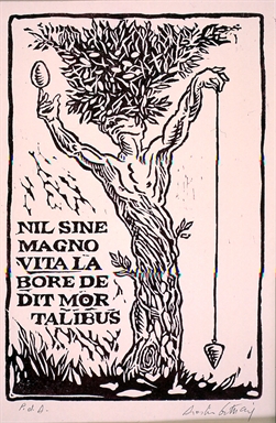 L'albero piceno