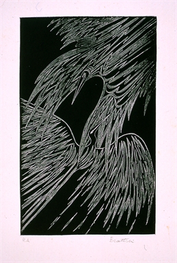 uccelli