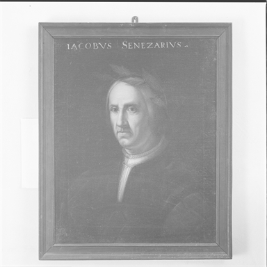 Ritratto di Jacopo Sannazzaro