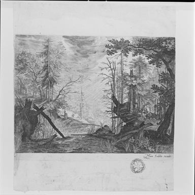 paesaggio con alberi e palude