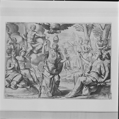 Giove, le Muse e Atena che fanno nascere l'ulivo