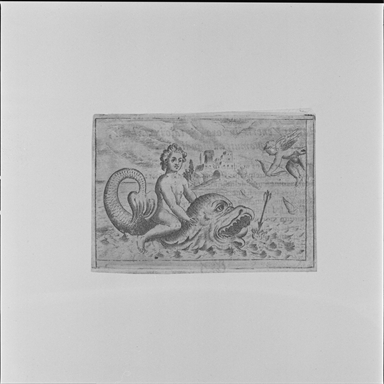 fanciullo che cavalca un delfino