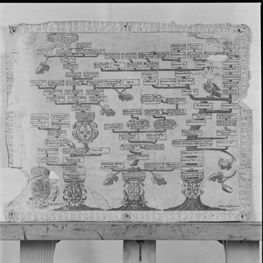 Albero genealogico della Casa d'Austria