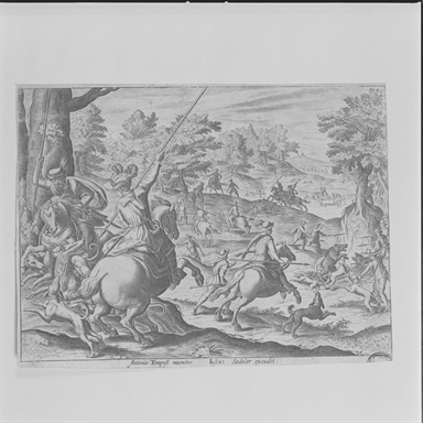 Caccia al cinghiale