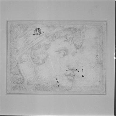 testa d'uomo con elmo