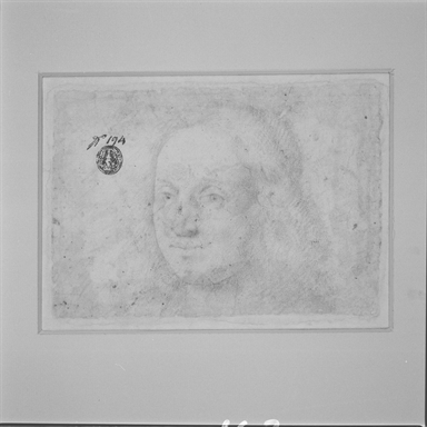 testa di donna