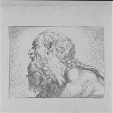 testa d'uomo di profilo