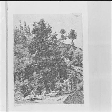 paesaggio con alberi