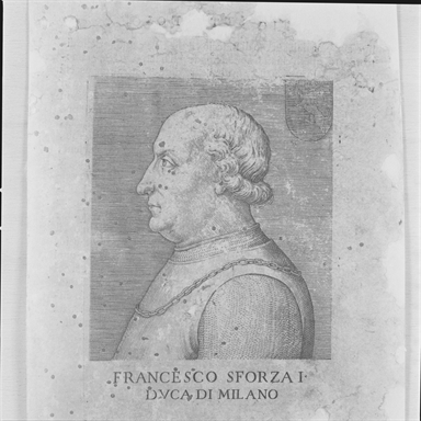 Ritratto di Francesco I Sforza