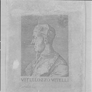 Ritratto di Vitellozzo Vitelli