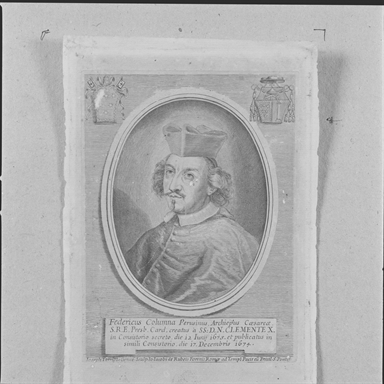 Ritratto del cardinale Federico Colonna