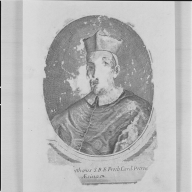 Ritratto del cardinale Pier Matteo Petrucci
