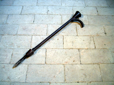 semina granoturco