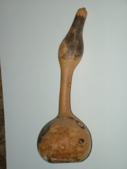 zucca essiccata