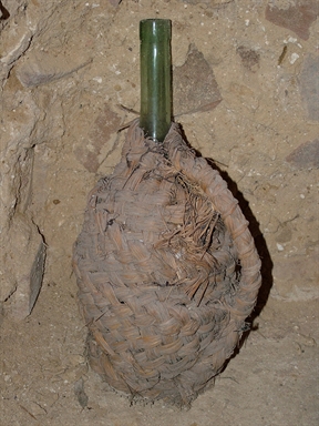 fiasca