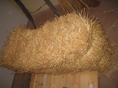 paglia