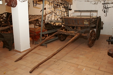 carro a quattro ruote