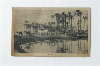 cartolina illustrata