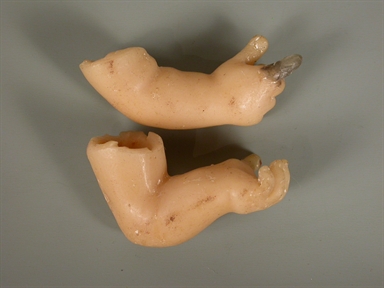 frammento di cera (2 mani con braccia)