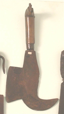roncola pennata
