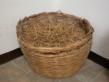 cova - cova per galline