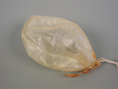 vescica per strutto