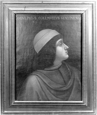 Ritratto di Pandolfo Collenuccio