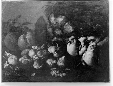 natura morta di frutta con due colombi