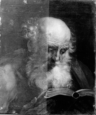 testa d'uomo anziano