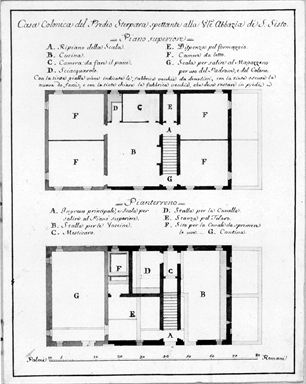pianta di casa colonica