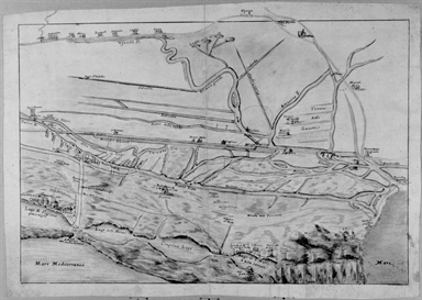 pianta delle paludi Pontine