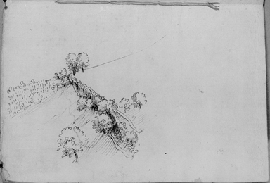 studio di paesaggio con alberi