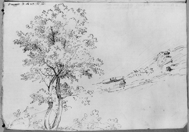 paesaggio con alberi