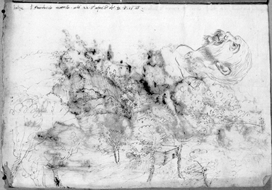 paesaggio collinare e testa virile