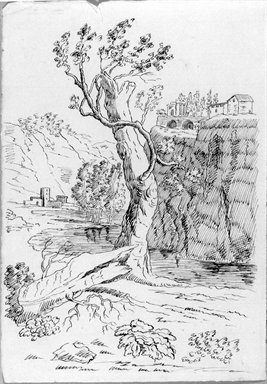 paesaggio fluviale con alberi