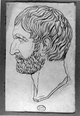 testa di Bruto di profilo