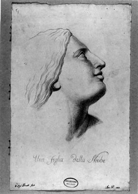 testa di una figlia della Niobe di profilo